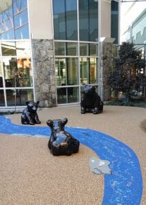 children's hospital playground equipment