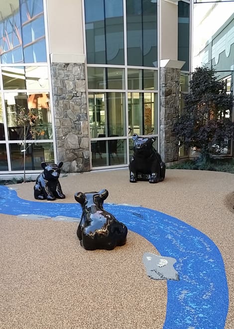 children's hospital playground equipment