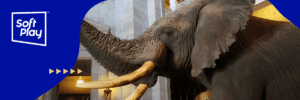Guide to making your museum kid friendly