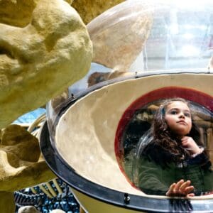 dinosaur playground at a museum exhibit