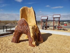 tree sculpture at colorado park